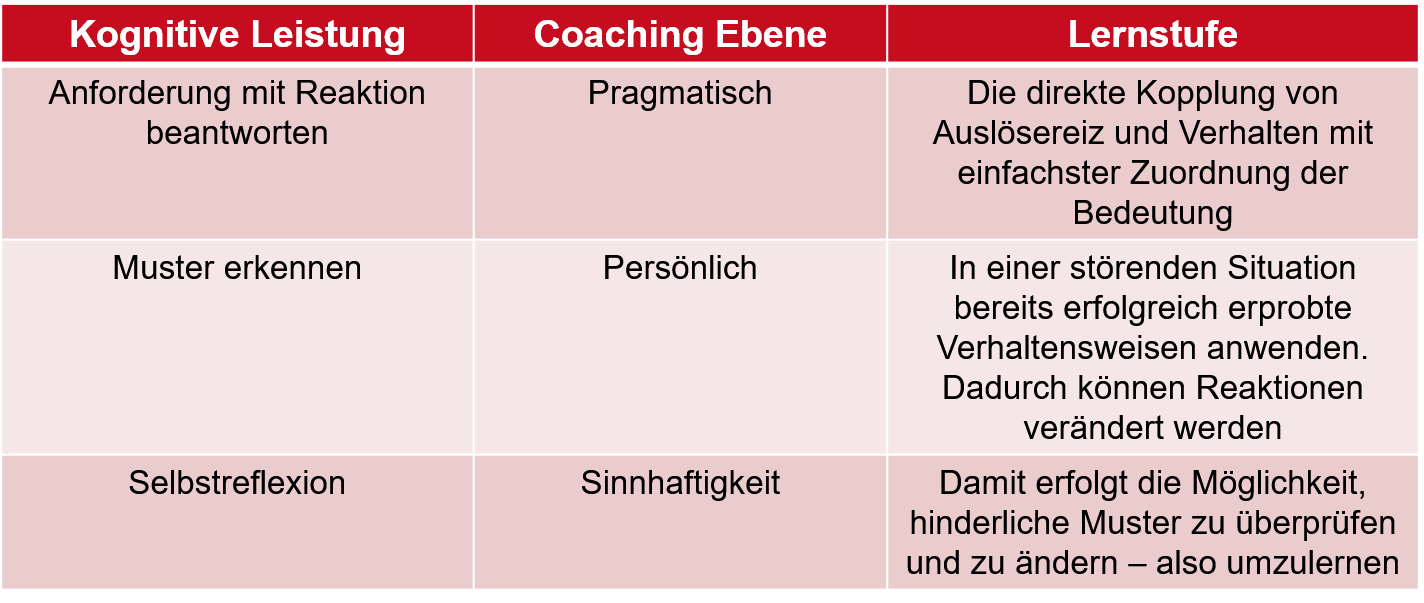 Coaching Lernebenen