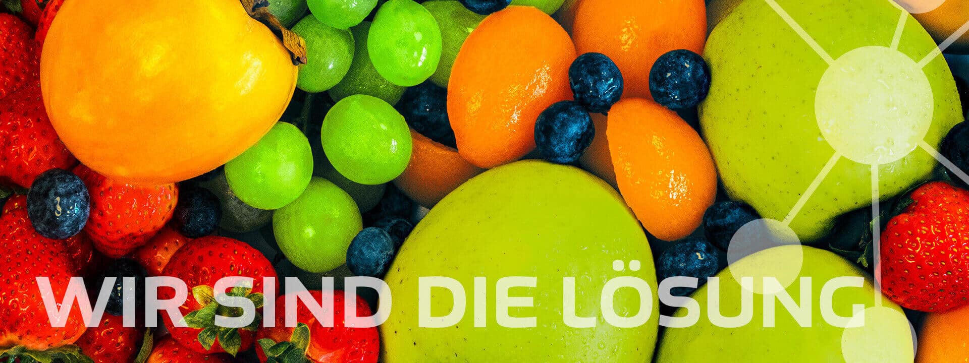 Constag AG Wir sind die Loesung