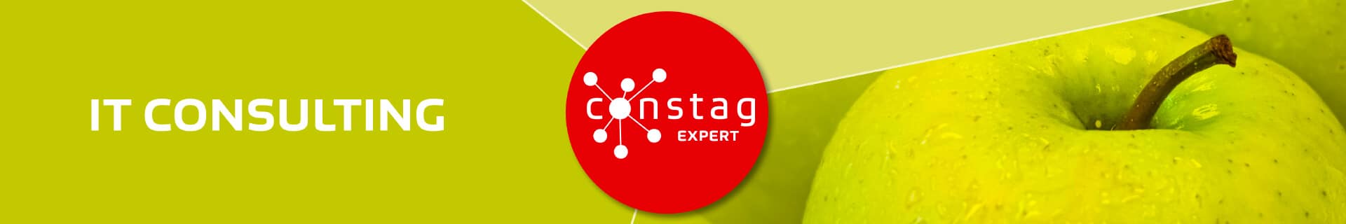 Constag Produkte IT Consulting EXPERT