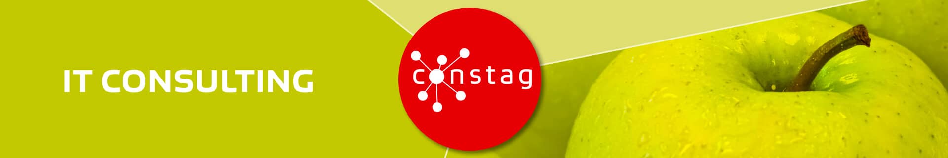 Constag Produkte IT Consulting Neutral