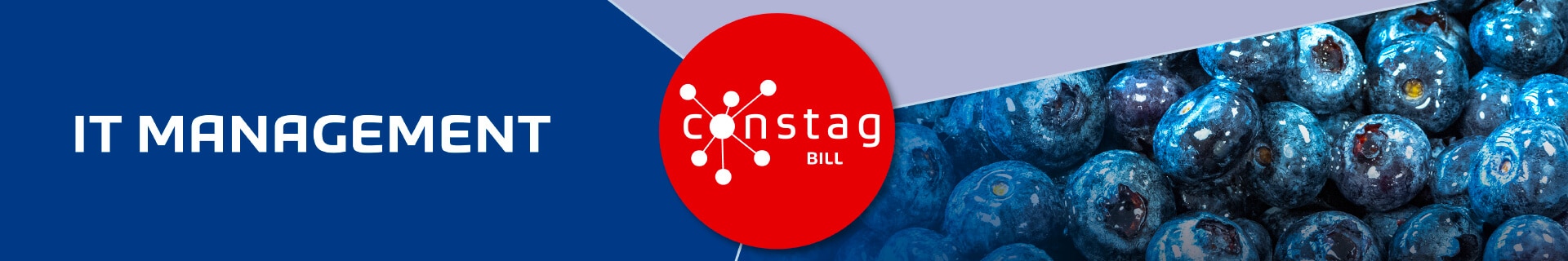 Constag Produkte IT-Management BILL