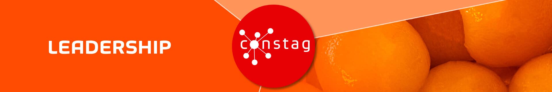 Constag Produkte Leadership Neutral