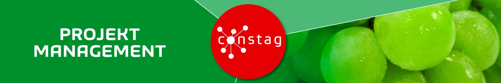 Constag Produkte Projekt Management Neutral