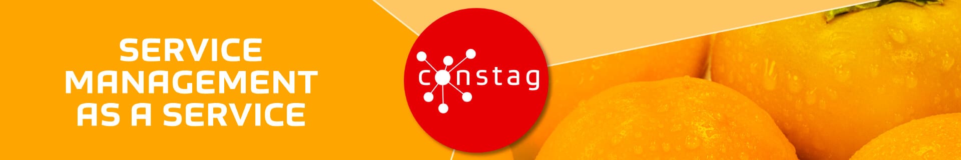 Constag Produkte Service Management As A Service Neutral