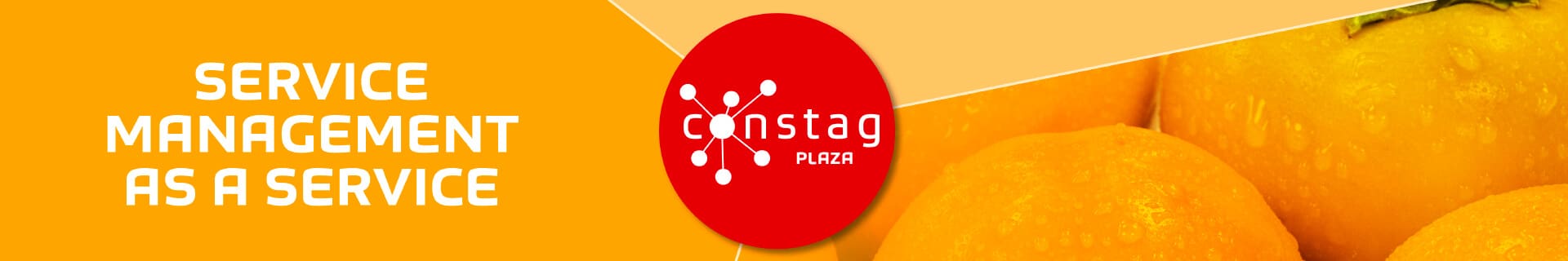 Constag Produkte Service Management PLAZA