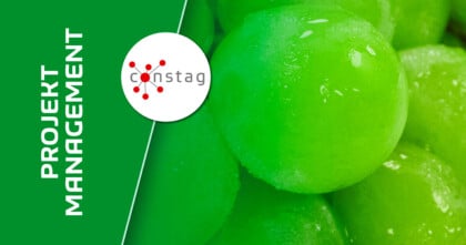 Stakeholder Management in IT Projekten