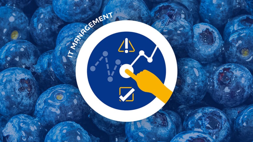 IT Management Dienstleistung IT Management Dienstleistung