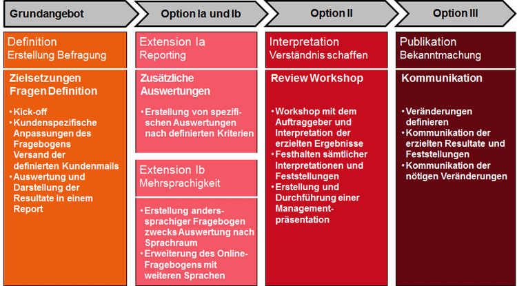 Module der IT-Zufriedenheitsumfrage Module der IT-Zufriedenheitsumfrage