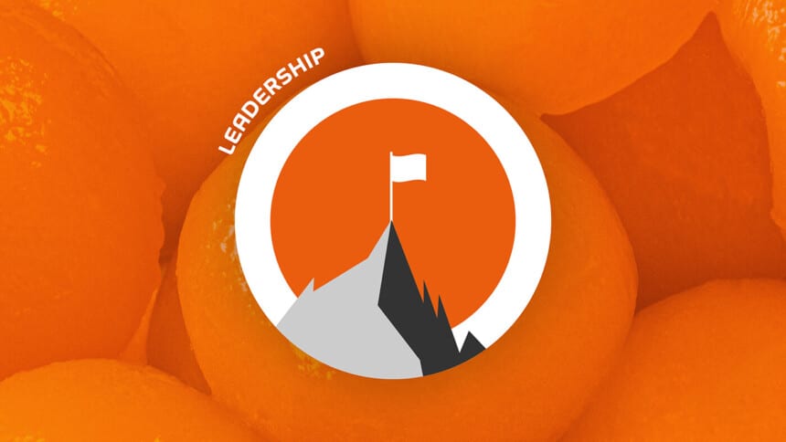 Leadership - Dienstleistung Leadership - Dienstleistung