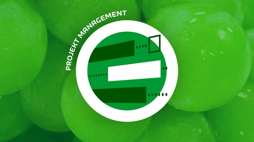 Projekt Management - Dienstleistung Projekt Management - Dienstleistung