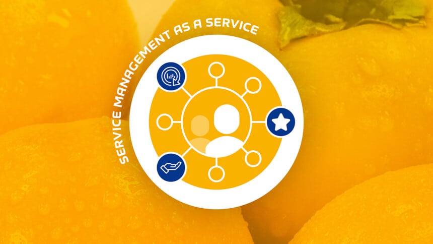Service Management as a Service - Dienstleistungen Service Management as a Service - Dienstleistungen