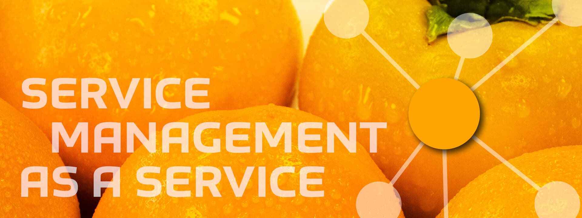 Service Managment As A Service